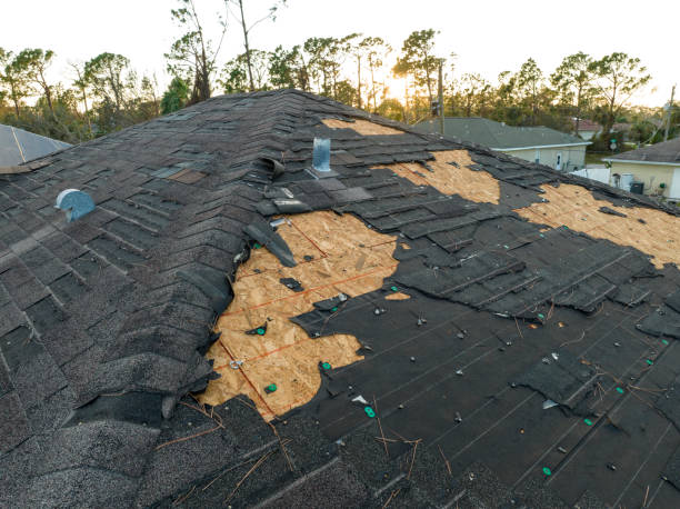 Best Storm Damage Roof Repair  in Manvel, TX