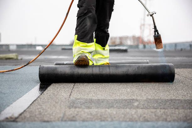 Best Roof Moss and Algae Removal  in Manvel, TX
