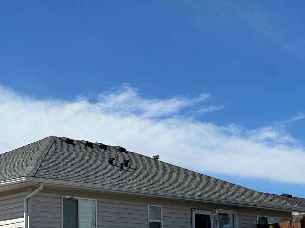 Fast & Reliable Emergency Roof Repairs in Manvel, TX