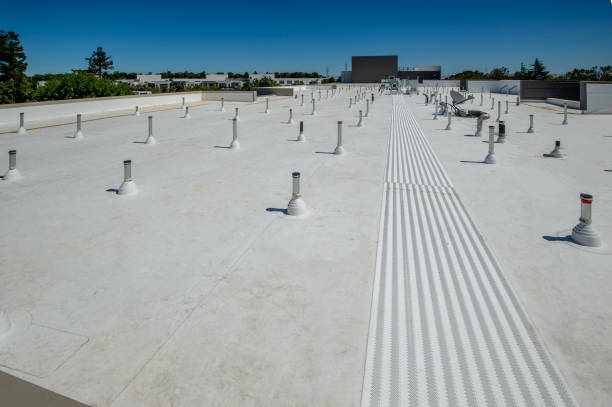 Best Commercial Roofing Services  in Manvel, TX